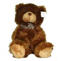 Возвращение Тедди Возвращение Тедди